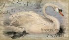 french-swan
