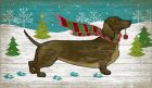 christmas-doxie