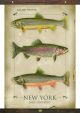 Canvas Lake Ontario Fish Tapestry