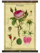 Canvas Rose Floral Tapestry