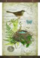 Canvas Bird 1786 Tapestry